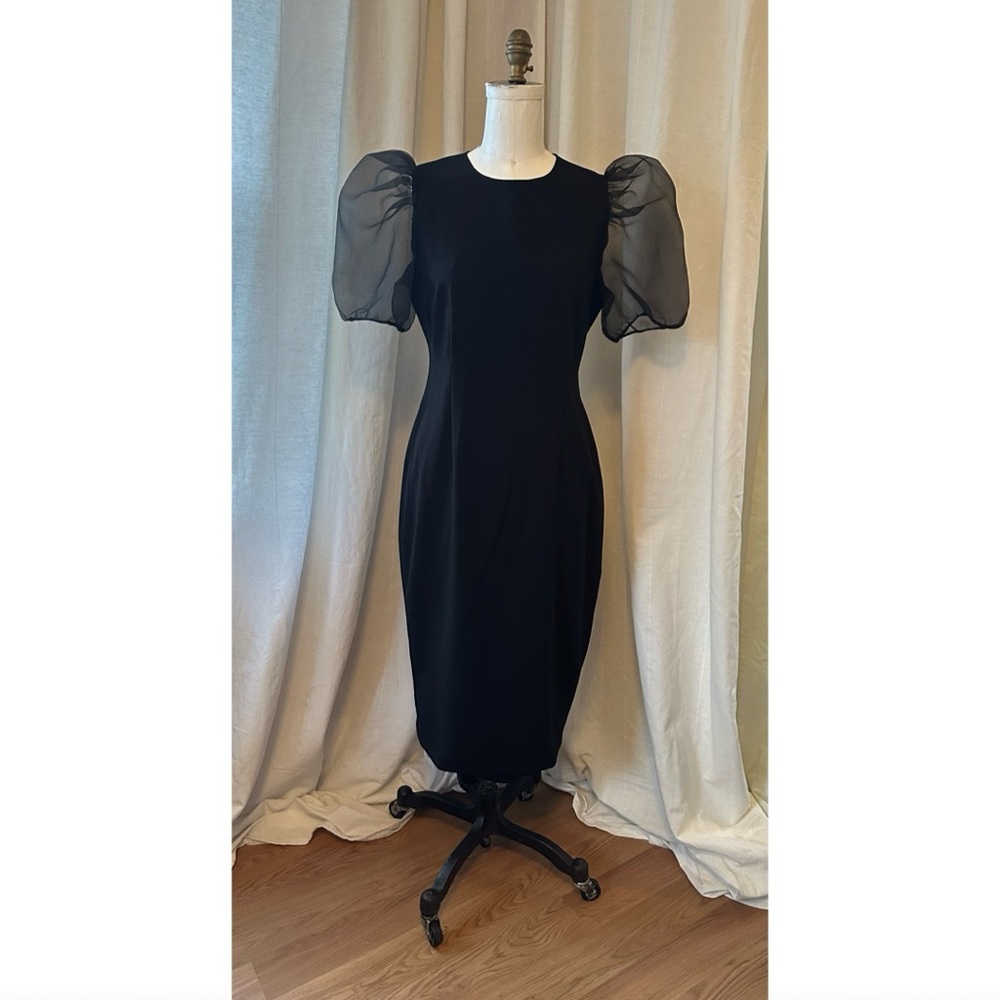 Zara Elegant Black Dress w/ Sheer Puff Sleeves